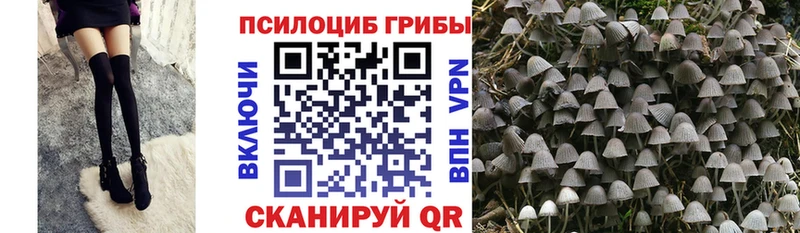 где можно купить   гидра как зайти  Псилоцибиновые грибы Magic Shrooms  Вихоревка 